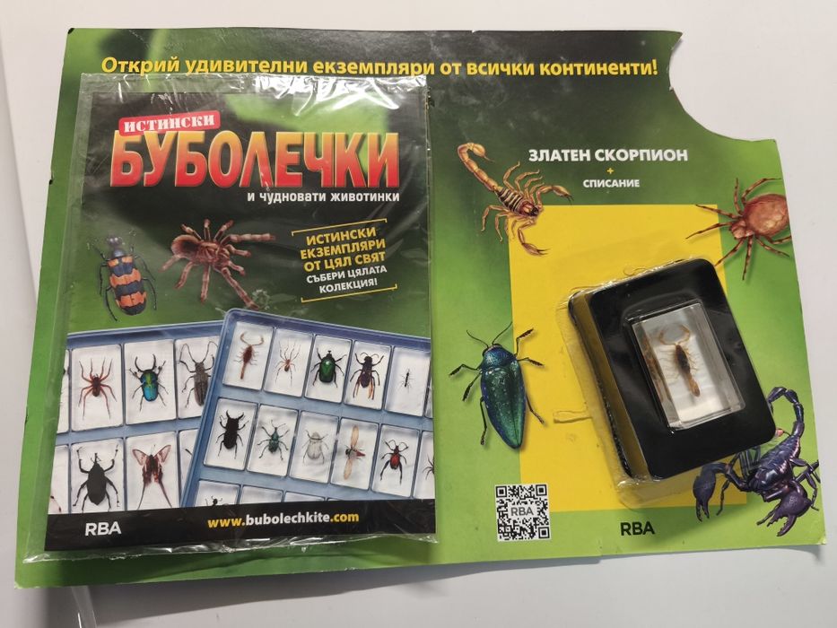 Истински препариран Скорпион + списание