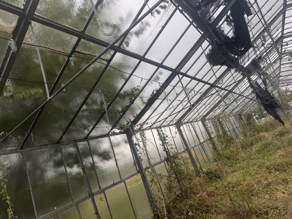 Sera flori legume 7 m latime si 40 lunhime