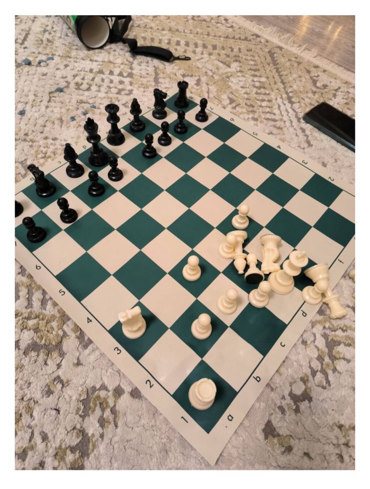 Шахматы со складной доской