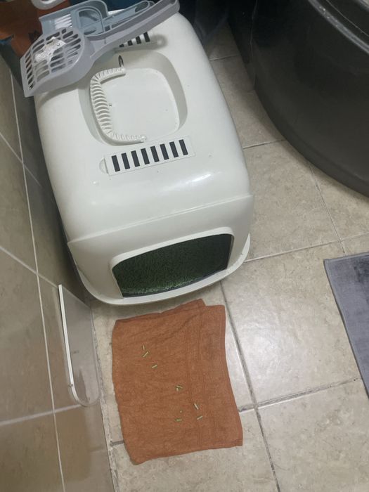 лоток для кошки