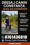 Dresaj canin Constanța-  30 de ani experiență, rezultate garantate