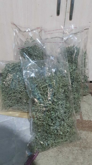 Жантак шай лечебный