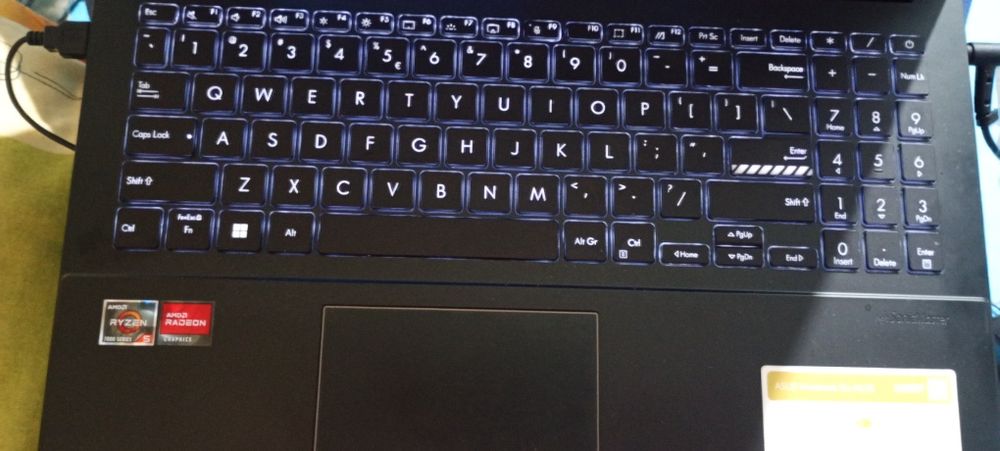 Laptop asus vivobook go15