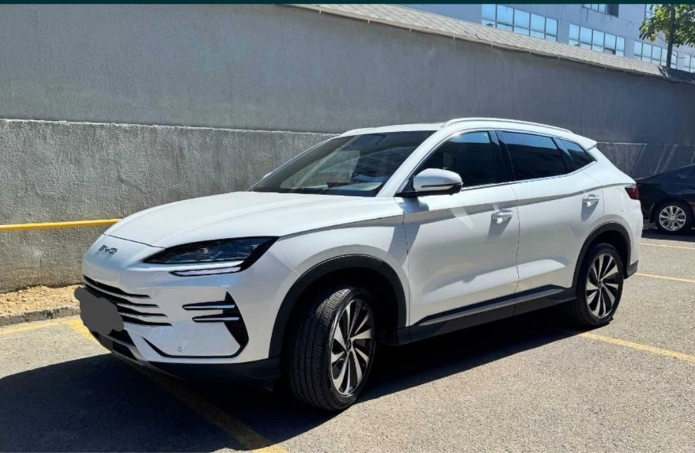BYD champion 150km 2024