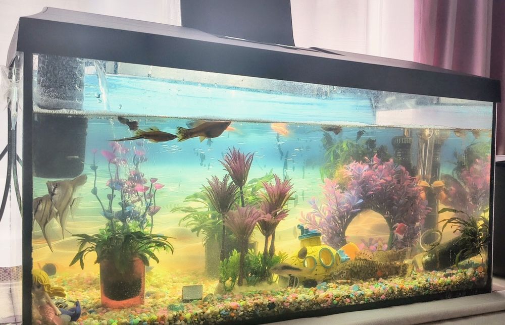 Vând acvariu complet