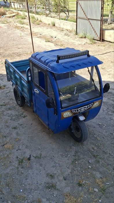 Тридцекил муравей