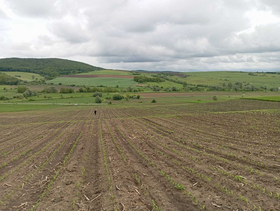 Vand teren arabil si pasunat la 1 km de Agnita Sibiu