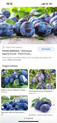 Prune De Țuica Livrare Direct La Domiciliu