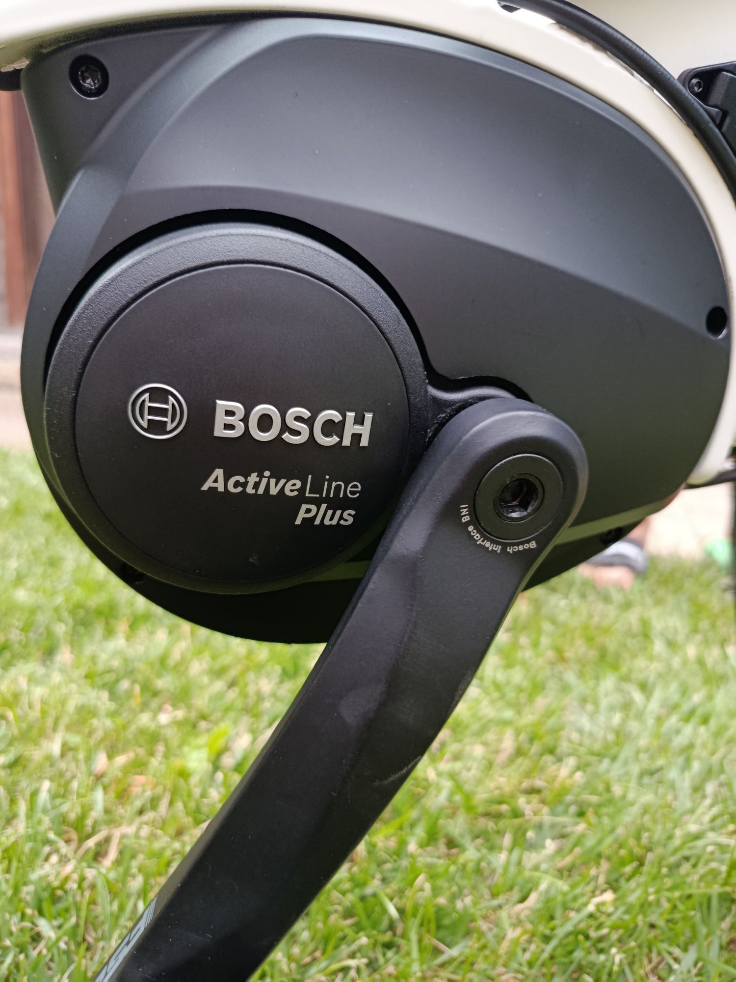 Pegasus Ancura E8R Disc 28