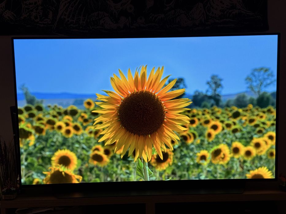 LG C2 48 Televizor OLED 48C21LA