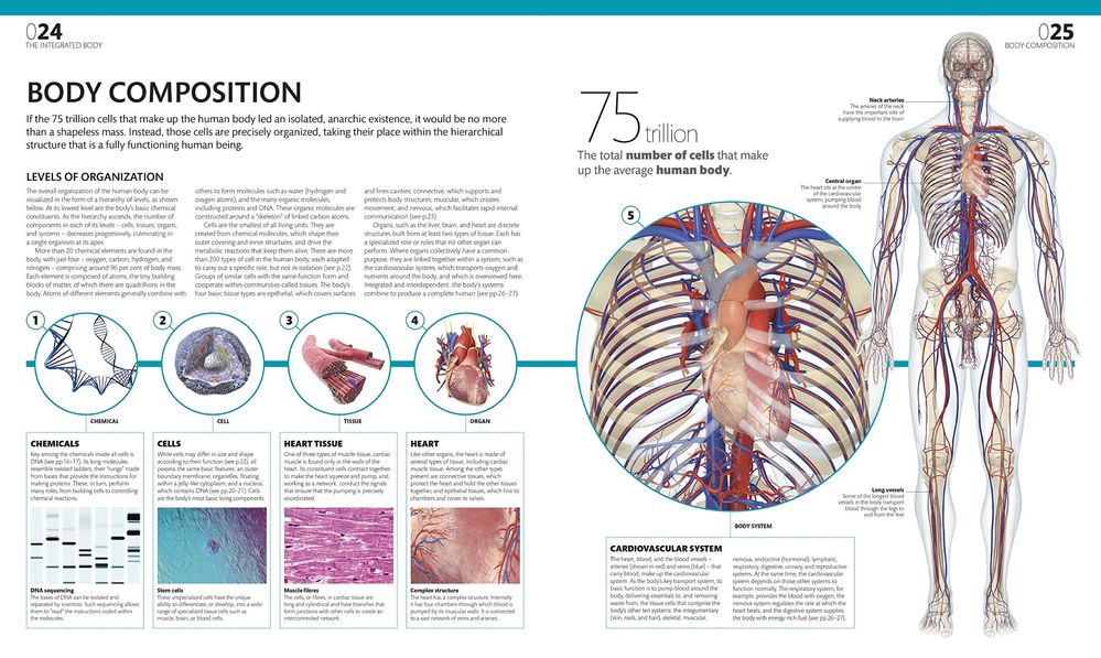 The Complete Human Body Atlas anatomie