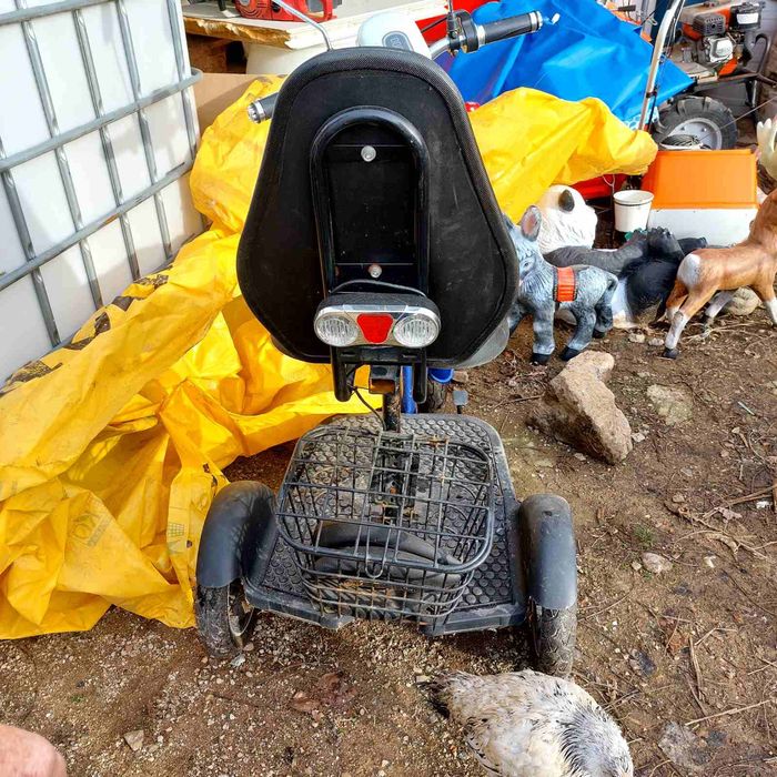 Триколка за възрастни