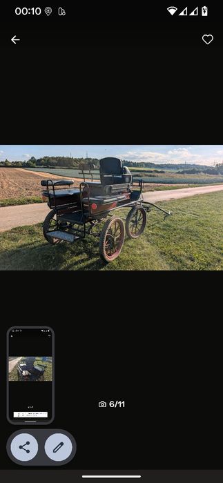 Trăsura pentru 6 persoane cu frâna la pedală, caleașca pt cai de vânza