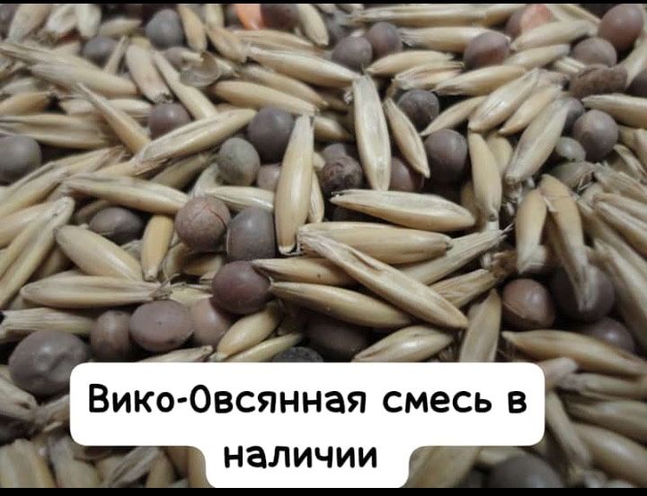 Семена:Сорго Суданка Кострец Донник Эспарцет Люцерна Вика Фацелия Лён