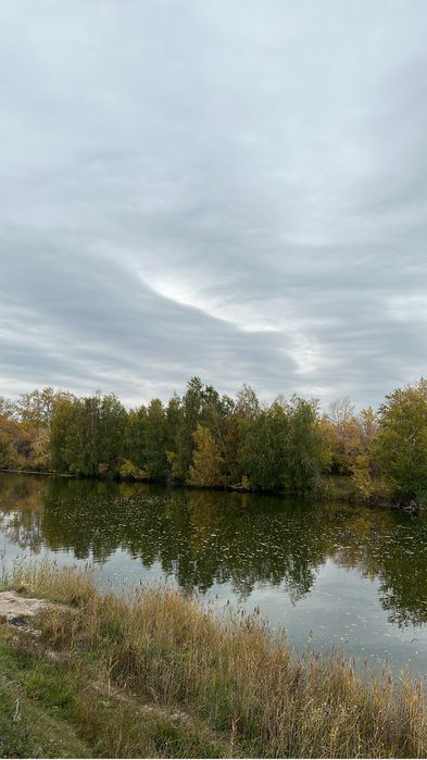 Продам з/у в Бишкуле 10 соток на берегу старицы !