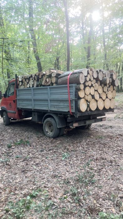 Lemn de foc esență tare debitat la cerere