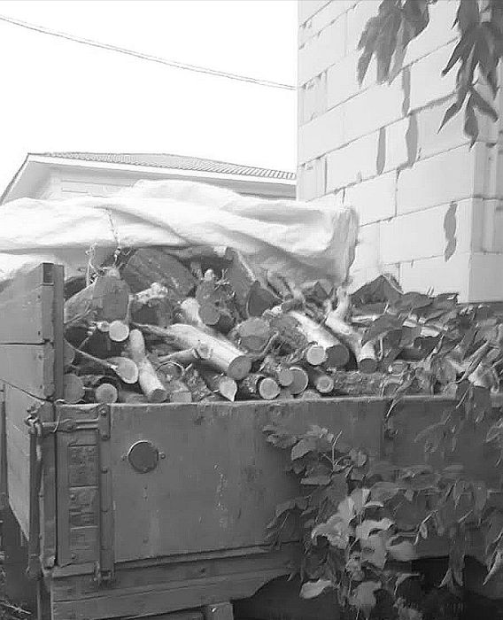 Продам дрова на баню