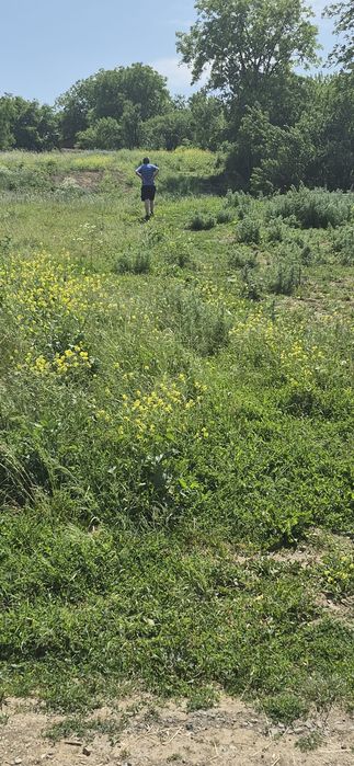 Vând teren intravilan Feiurdeni