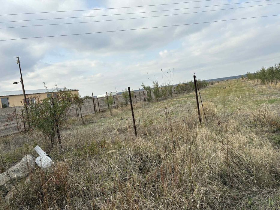 Teren intravilan și extravilan între Carligei și Palilula