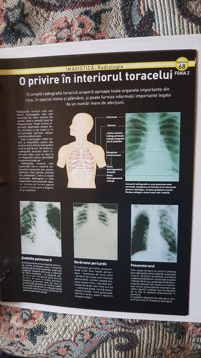 Colectie interiorul corpului uman medicina