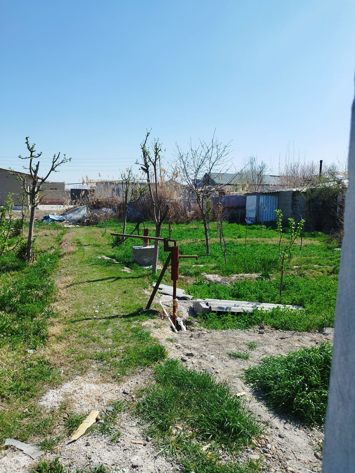 Dacha sotiladi o'rta zarafsjon
