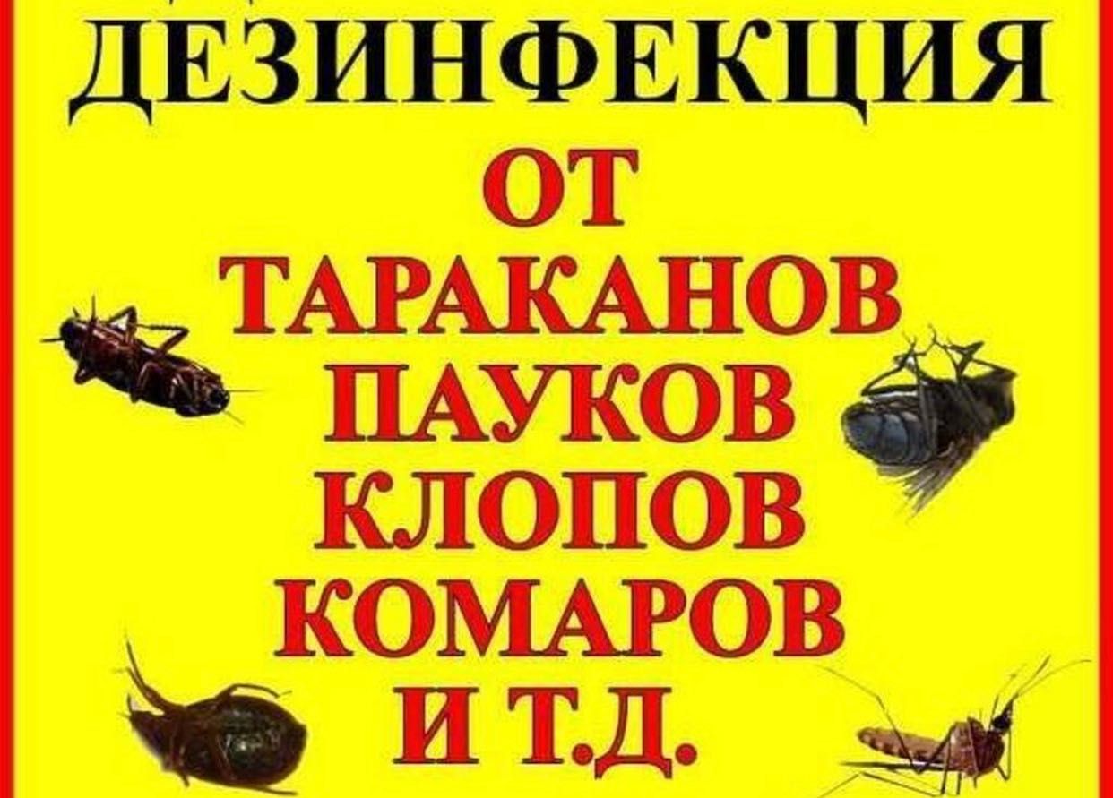 Дезинфекция / Дезинсекция /  Дератизация OOO PEST-FREE