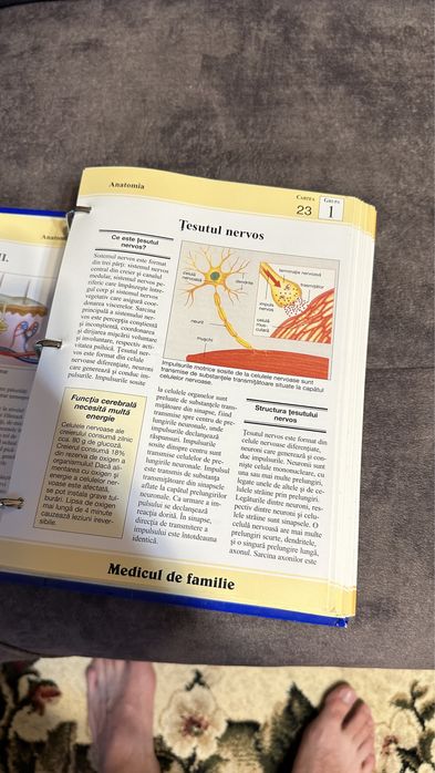 Medicul de familie Enciclopedia sănătății