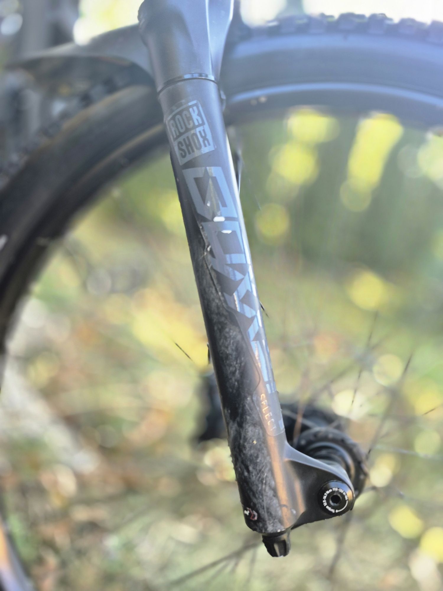 Scott GAMBLER 2023 M