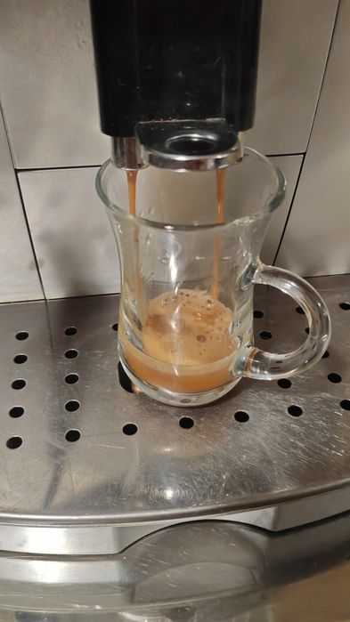 Delonghi ECAM 22. 110 SB Magnifica S