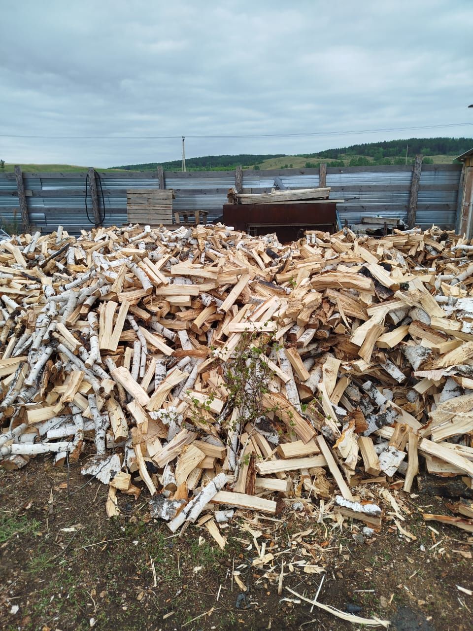 Продам дрова берёзовые