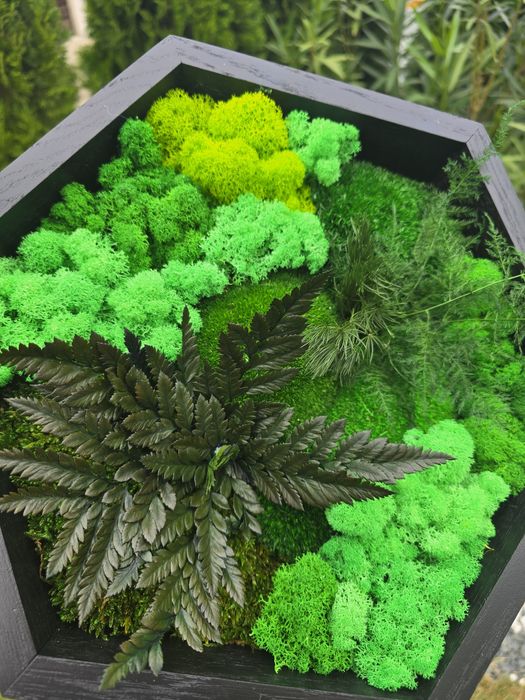 Tablou plante stabilizate, naturale 100%