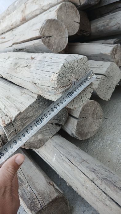 Болол расиский 4 метр