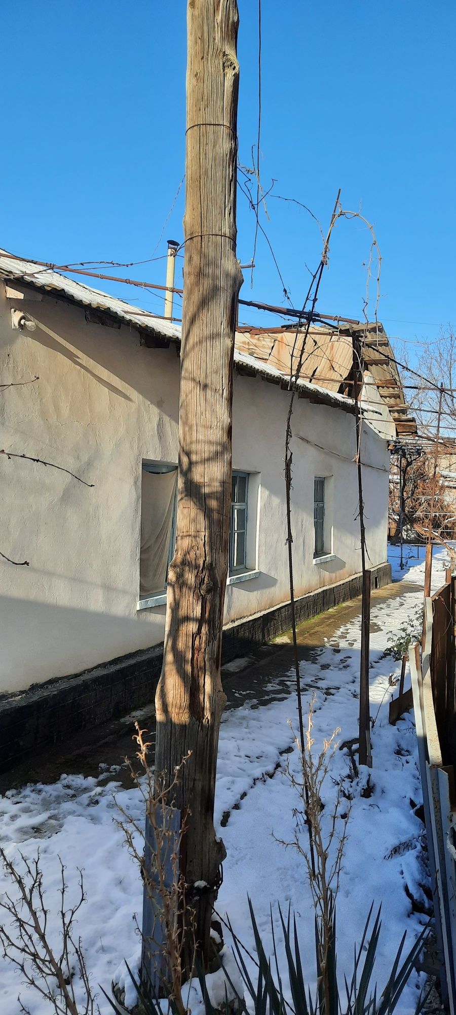 Кибрай цен.10сот.5х.бугор.