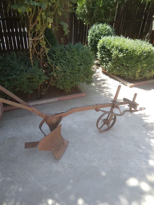 Plug vechi obiecte de colectie gradina de tras cu boii