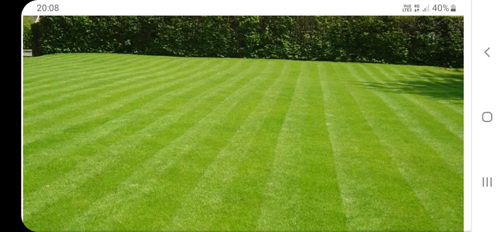 Nisip margaritat chisai