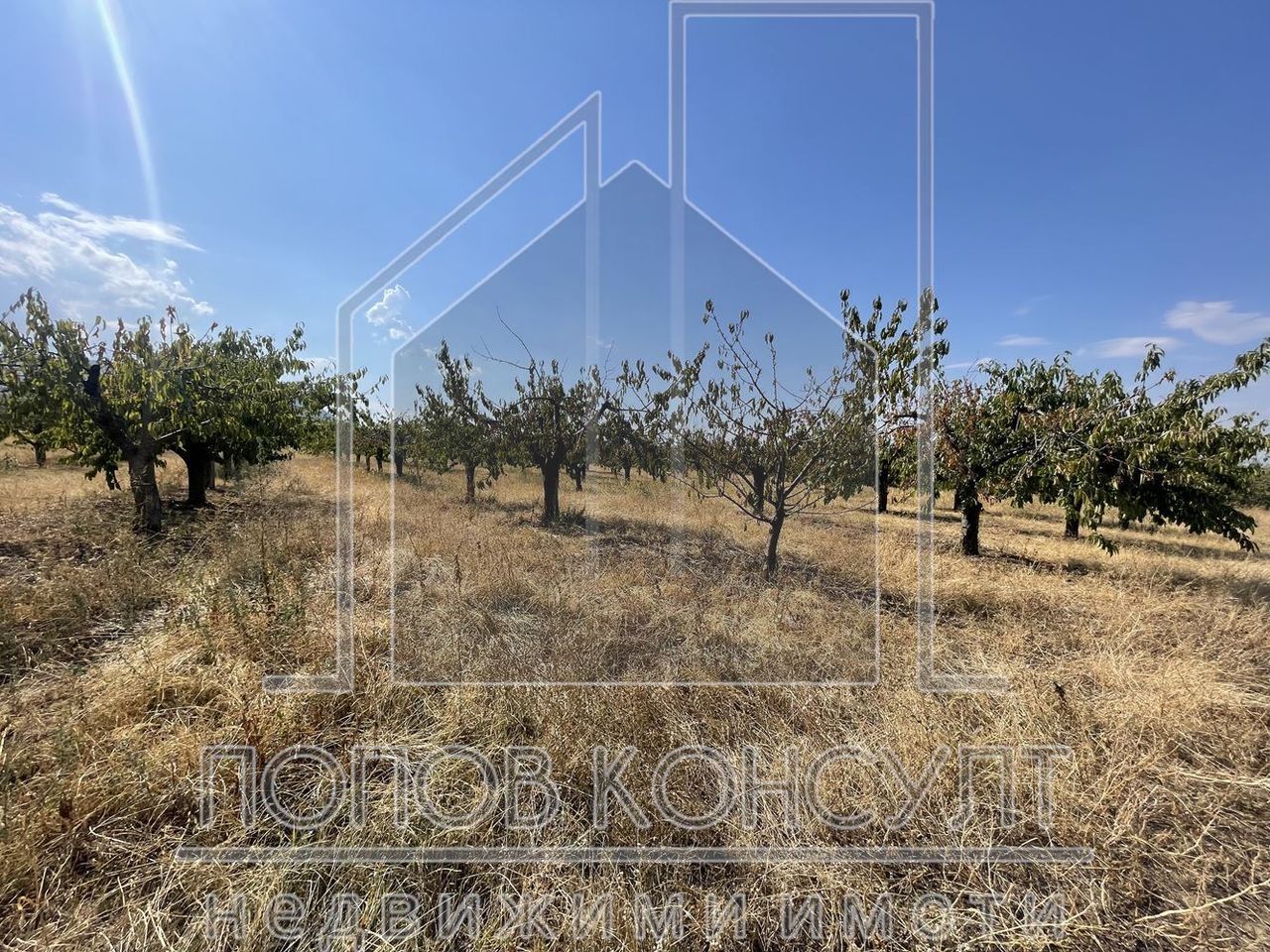 Продава се Парцел в с. Брестник, Област Пловдив - 3550 кв.м за 55 €/кв.м - Снимка #1