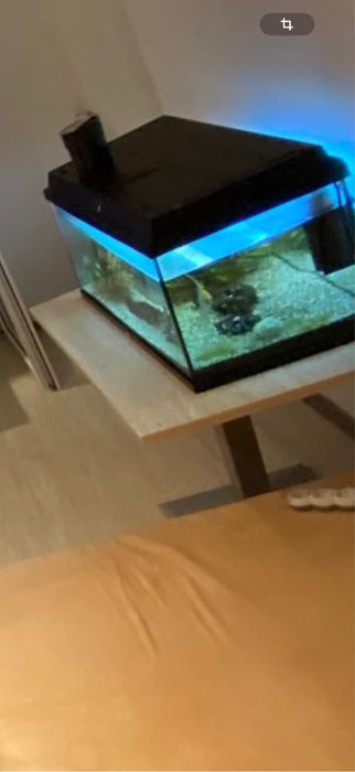 Vand acvariu complet utilat
