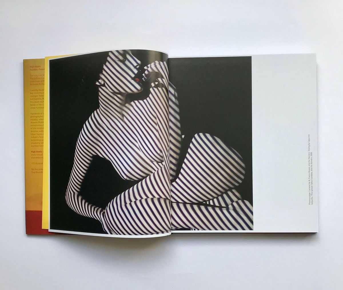 High Heels: Fashion Femininity & Seduction (Thames & Hudson, 2011)