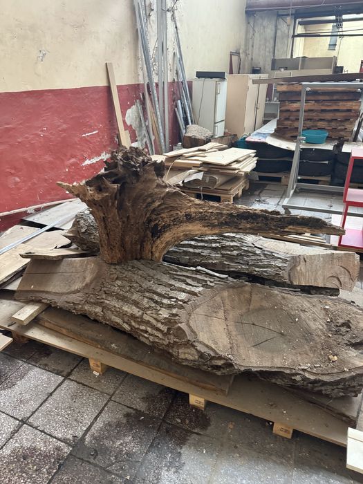 Орехов корен декорация