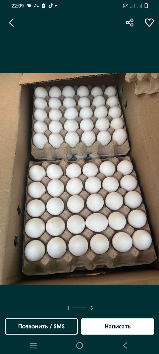 Продаются яйца в большом количестве