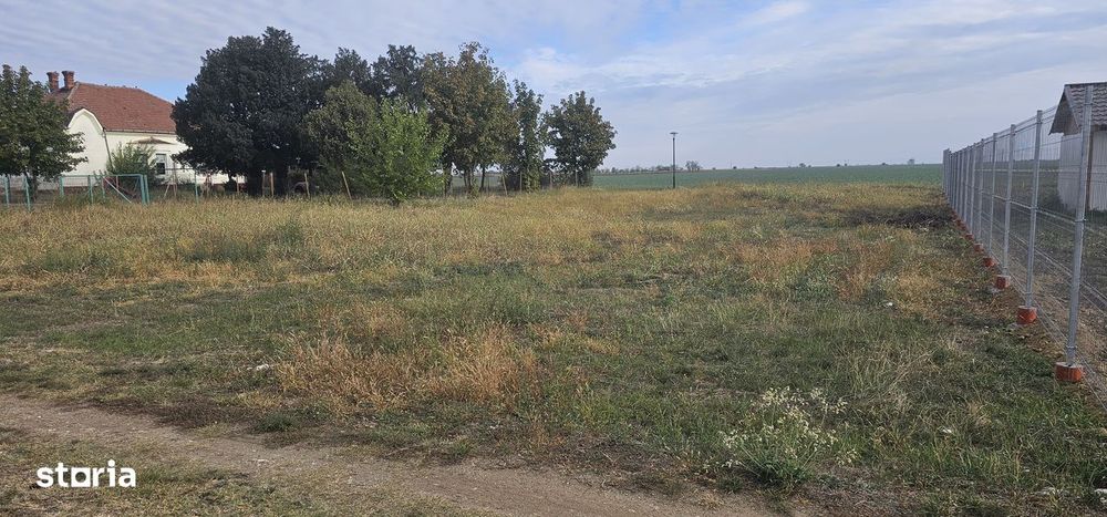 Tere Zimandu Nou 689mp