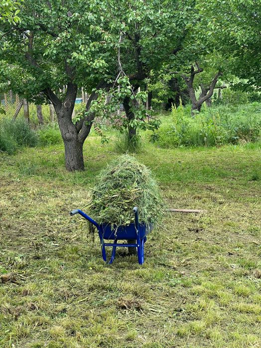 Косене и поддръжка на зелени площи