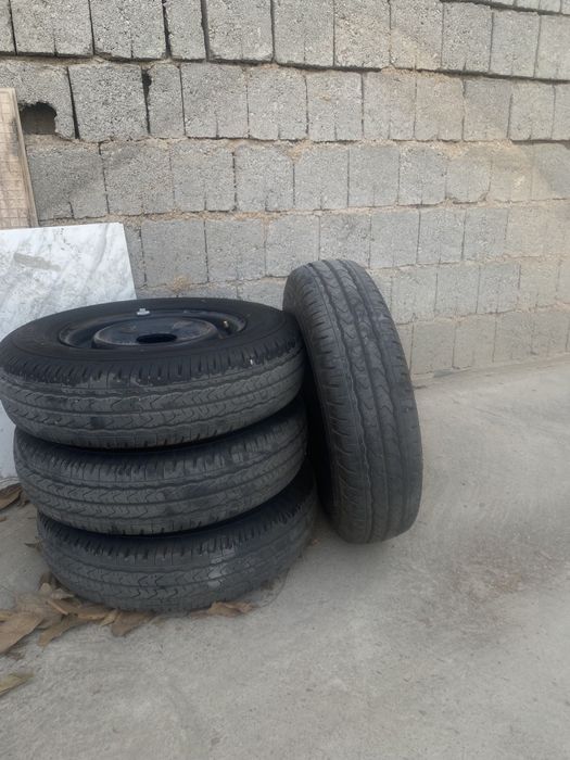 Damas diska balon R12