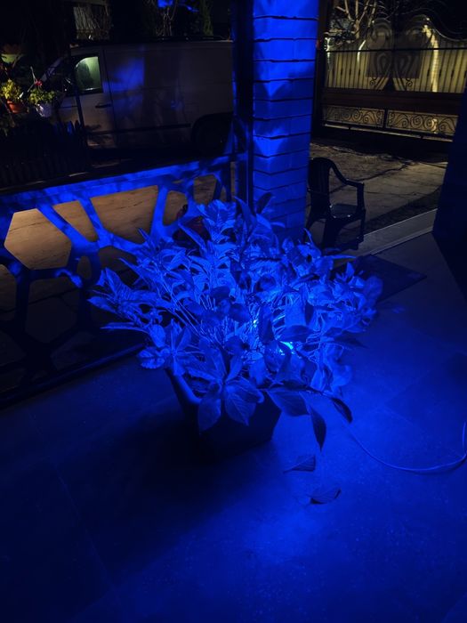 Proiector RGB IP66 ,10W,