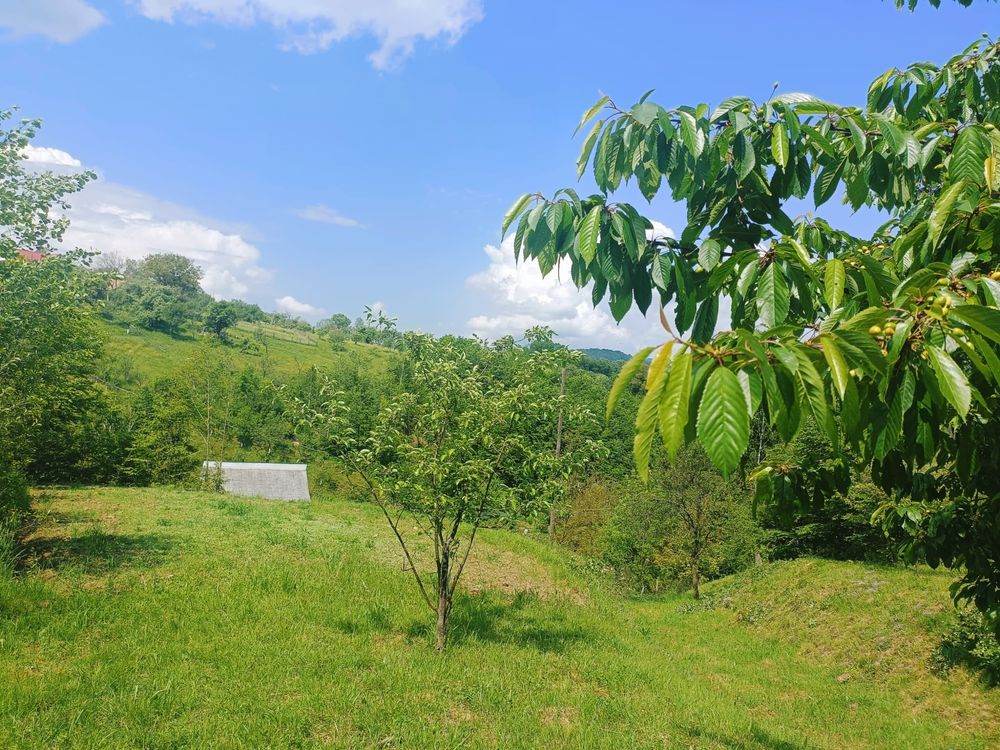 Vând casă locuit/vacanță în comuna Ciucea, județul Cluj