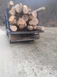 Vand lemne foc esenta tare,1600 lei 7 m ster!