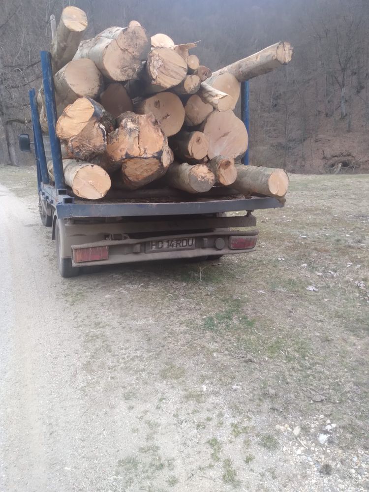 Vand lemne foc esenta tare,1500 lei 7 m ster!