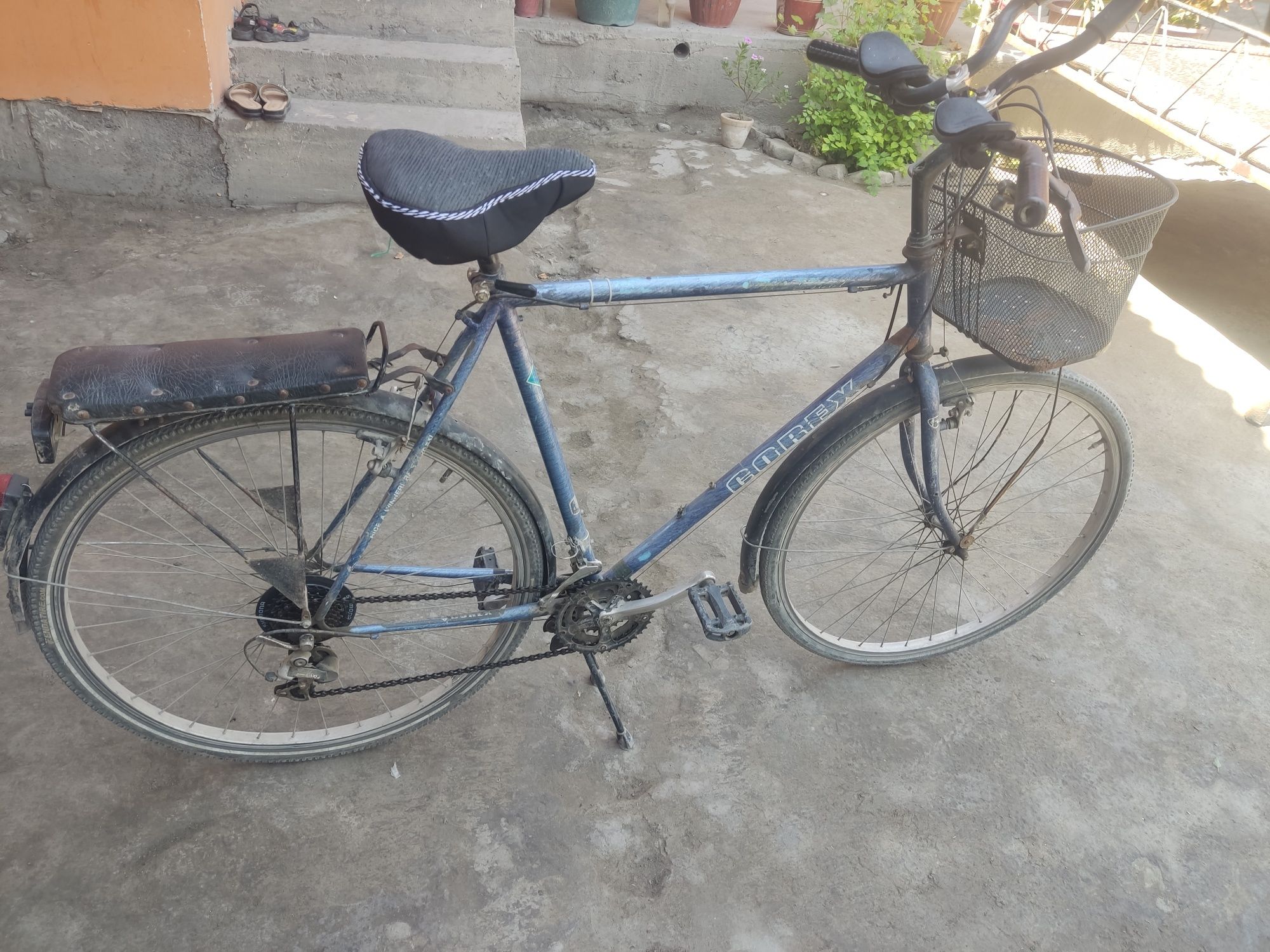 Velosapet german