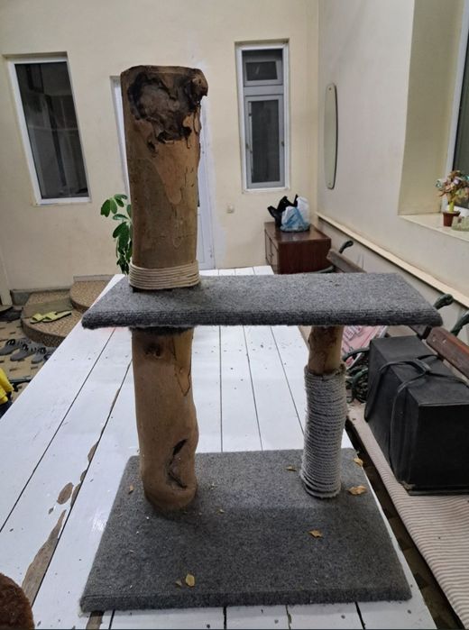 Две когтеточки для кошек