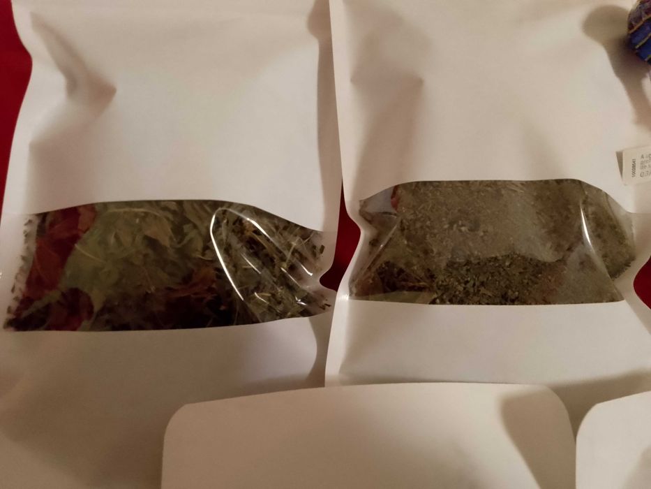 Oferta PACHET 10+1 pungi MENTA de gradina, BIO